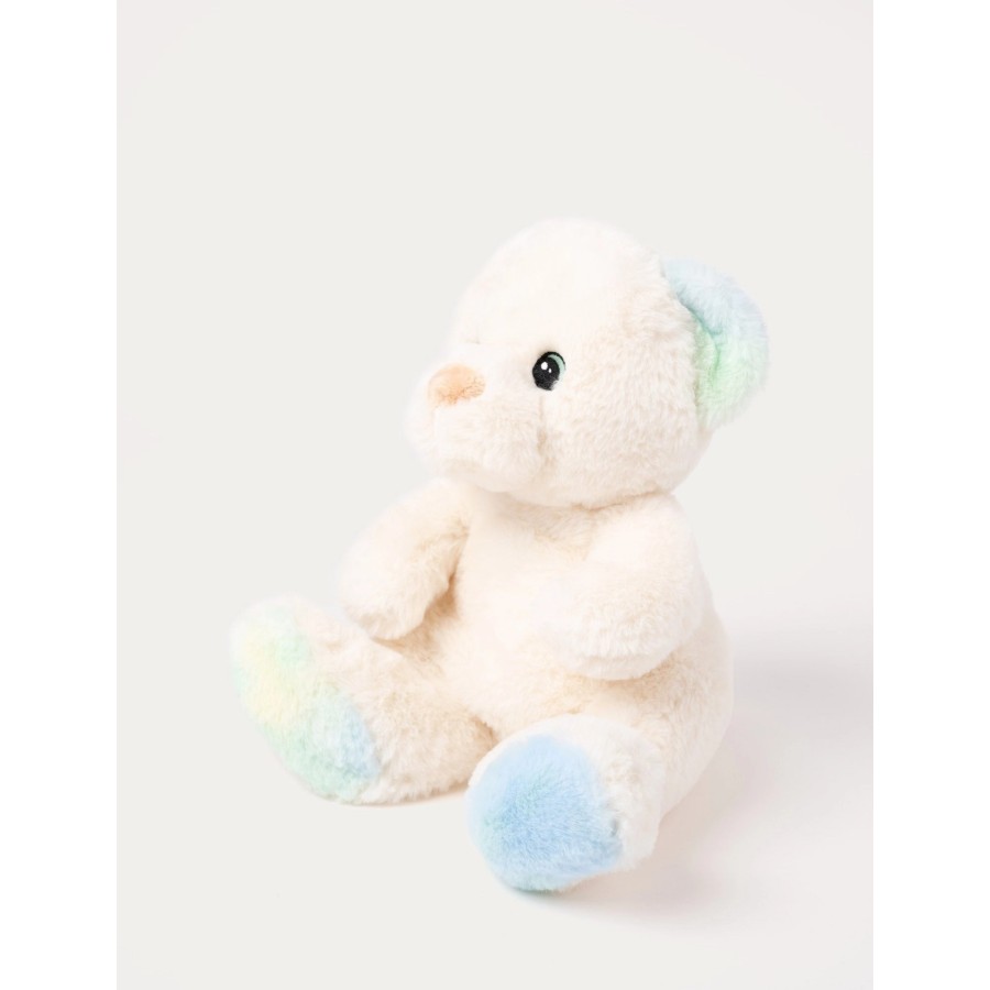 Charlie the Teddy