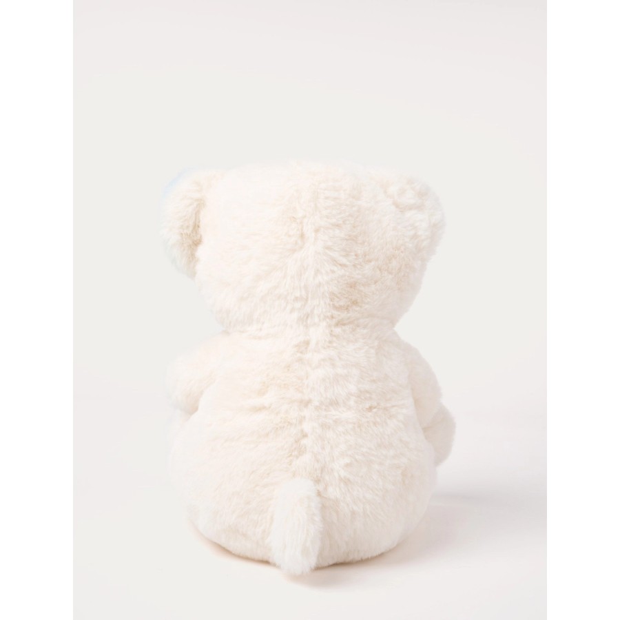 Charlie the Teddy