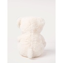 Charlie the Teddy