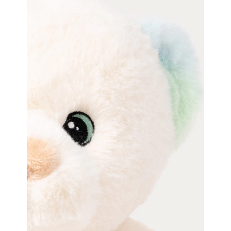 Charlie the Teddy