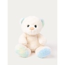 Charlie the Teddy